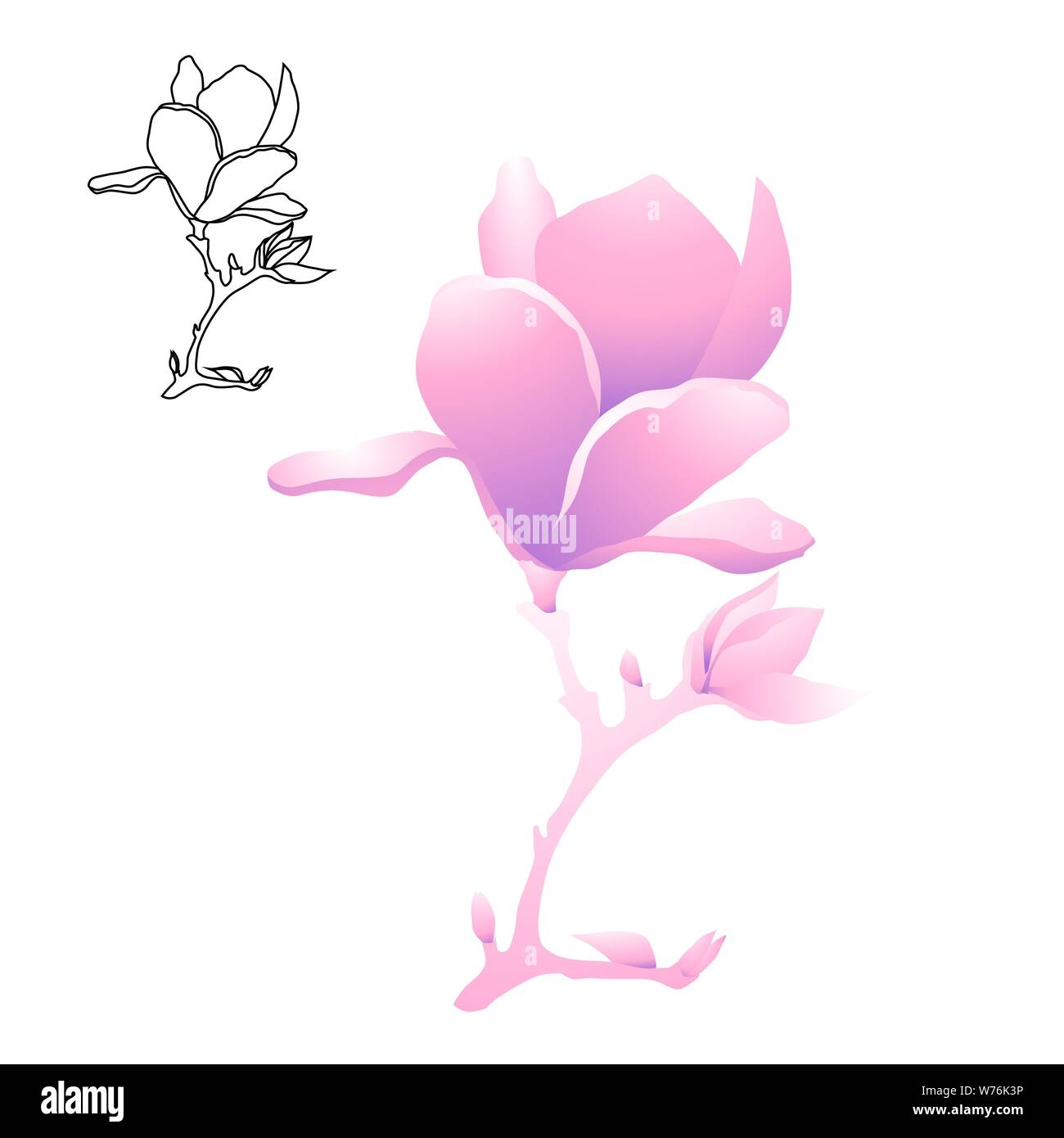 Magnolia flower on a branch of gently pink color. Contour and monochrome cartoon drawing. Vector illustration Stock Vector