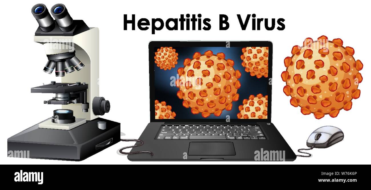 Close up isolated object of virus Hepatitis B illustration Stock Vector ...