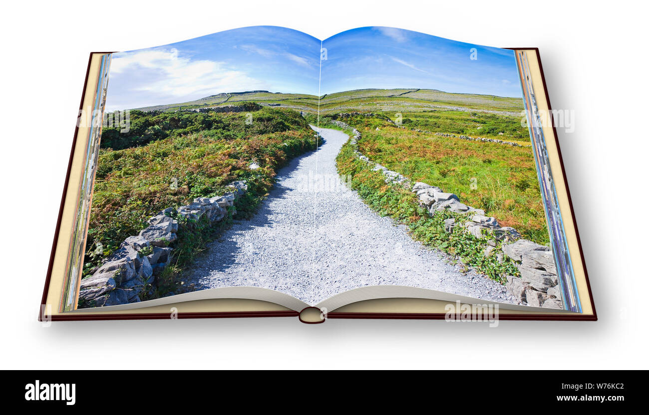 3D render of a typical Irish flat landscape in Aran Island with country road, stone walls and fields of grass for grazing animals (Ireland). I'm the c Stock Photo