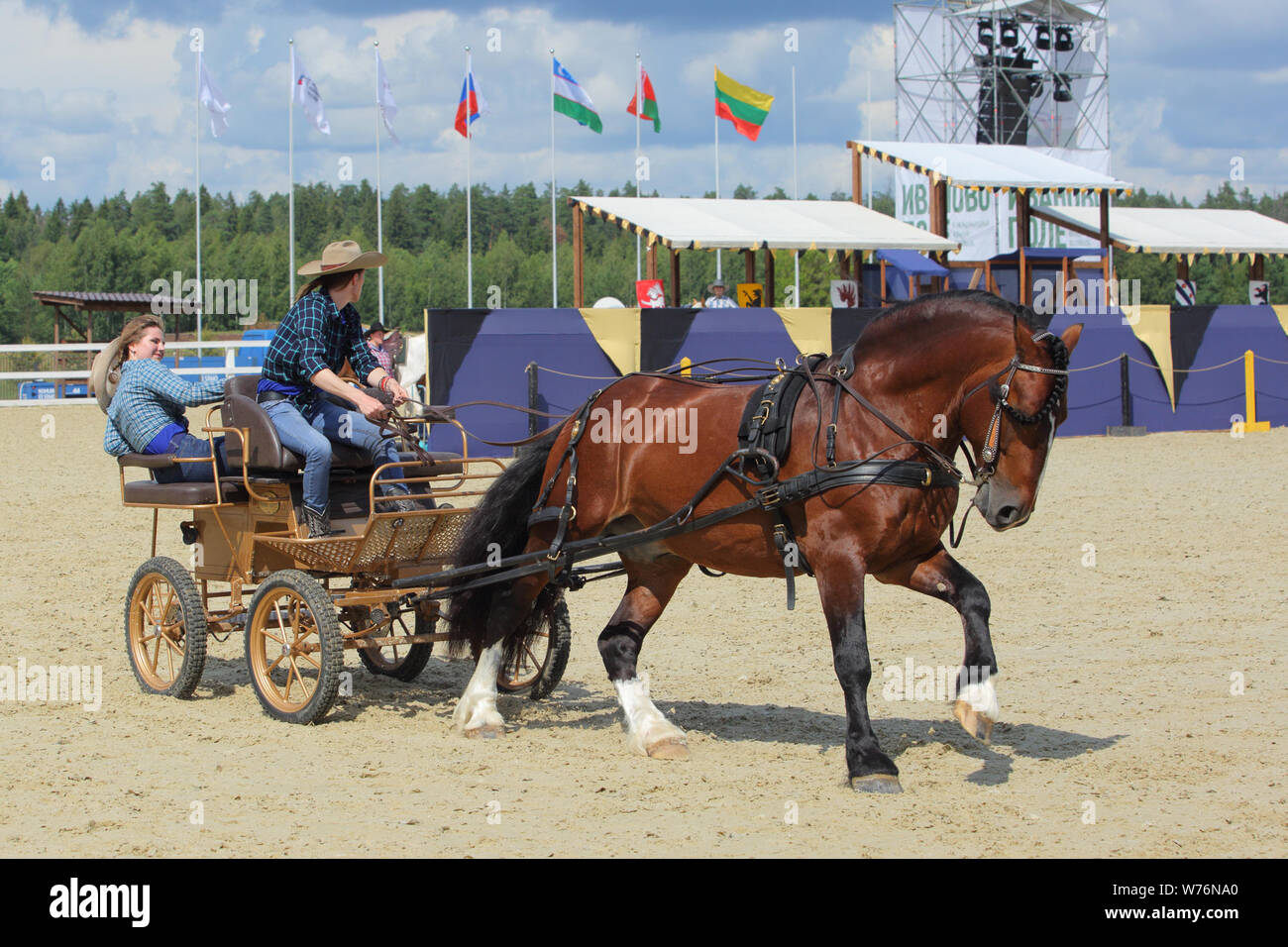 Carriage driving is a form of competitive horse driving in harness Stock Photo Alamy