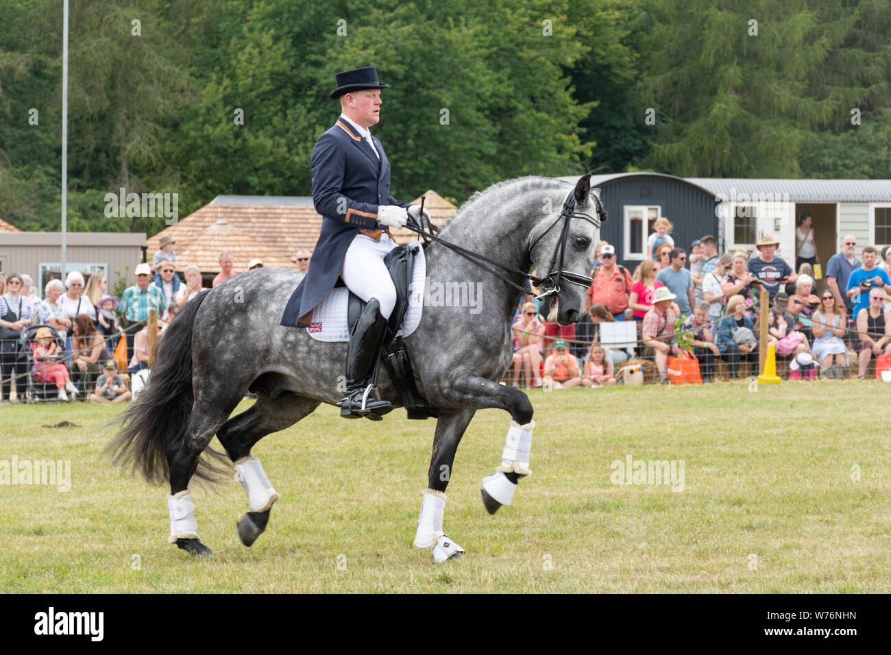 Dressage horse display in the main arena at the Countryfile Live Show 2019, UK Stock Photo
