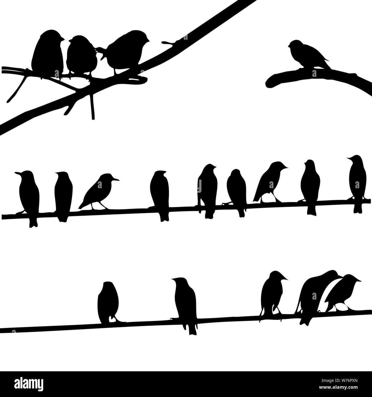 Birds on Wires, silhouette set Stock Vector Image & Art Alamy