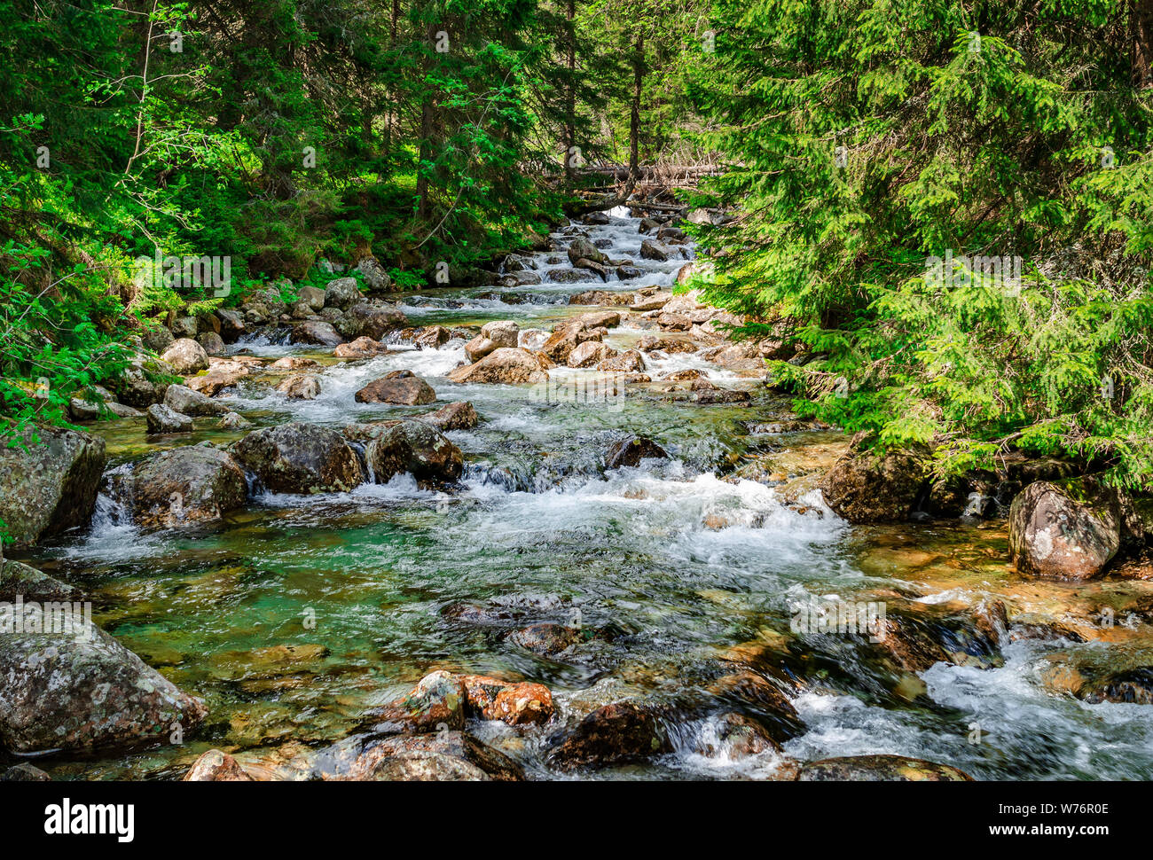 Fast river in the forest in Tatra mountains. Stock Photo