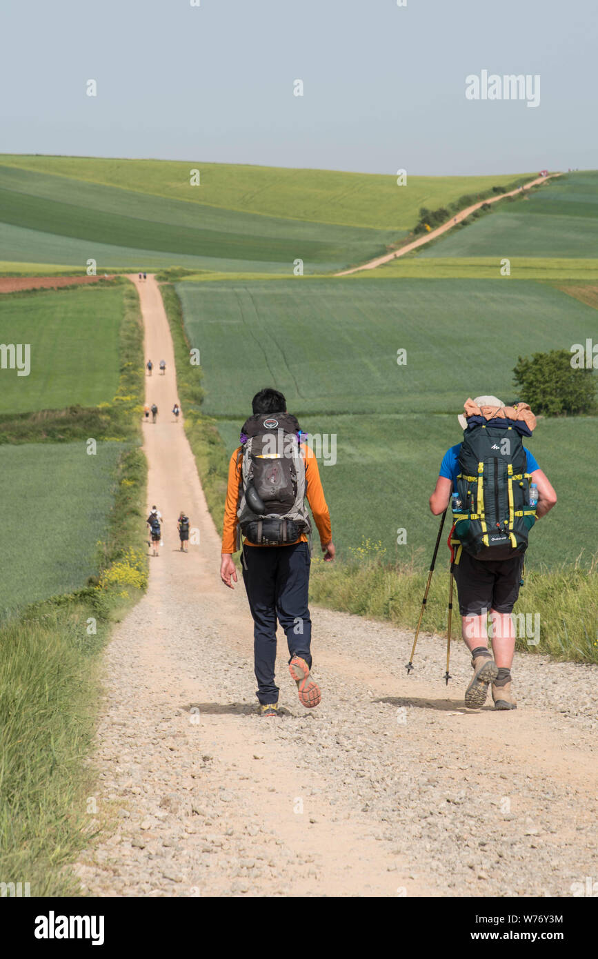 Pilgrims with a backpack on the Camino Frances, Way of St James, in the area of Burgos, Castile and León, Castilla y Leon. Path, hikers and landscape Stock Photo