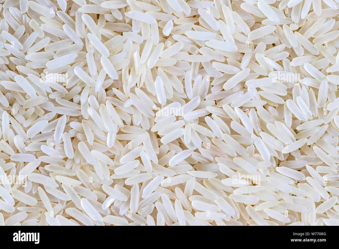 Rice grains background or texture. GlutenFree and healthy vegeterian