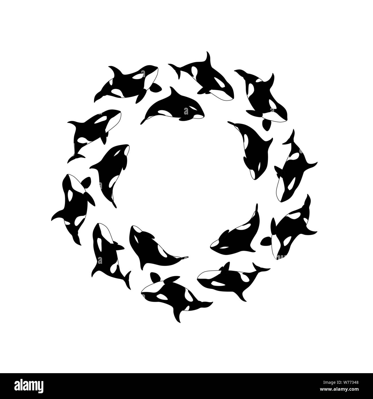 Hunting killer whales Stock Vector Images - Alamy 