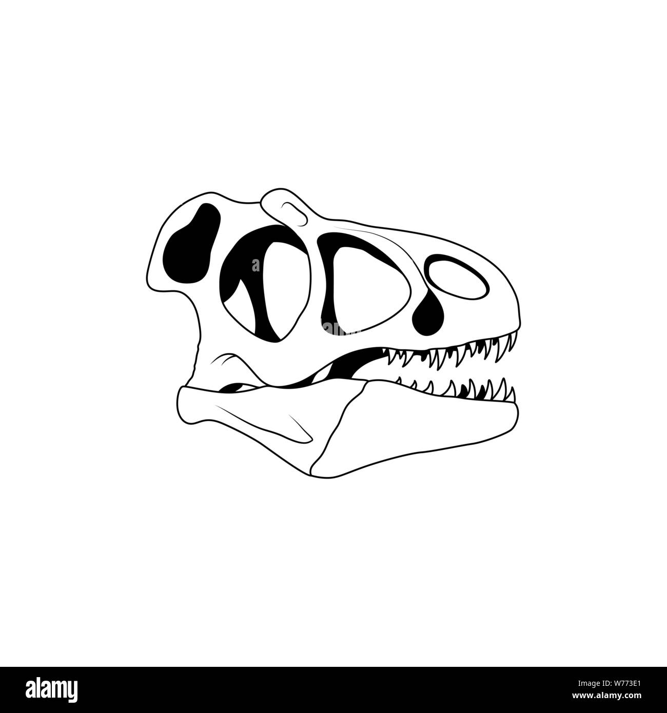Vector illustration of dinosaur skull. Velociraptor skull Stock Vector