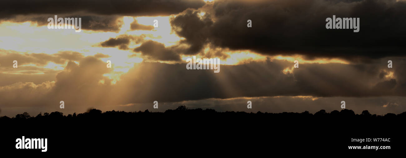 Sun rays panorama Stock Photo