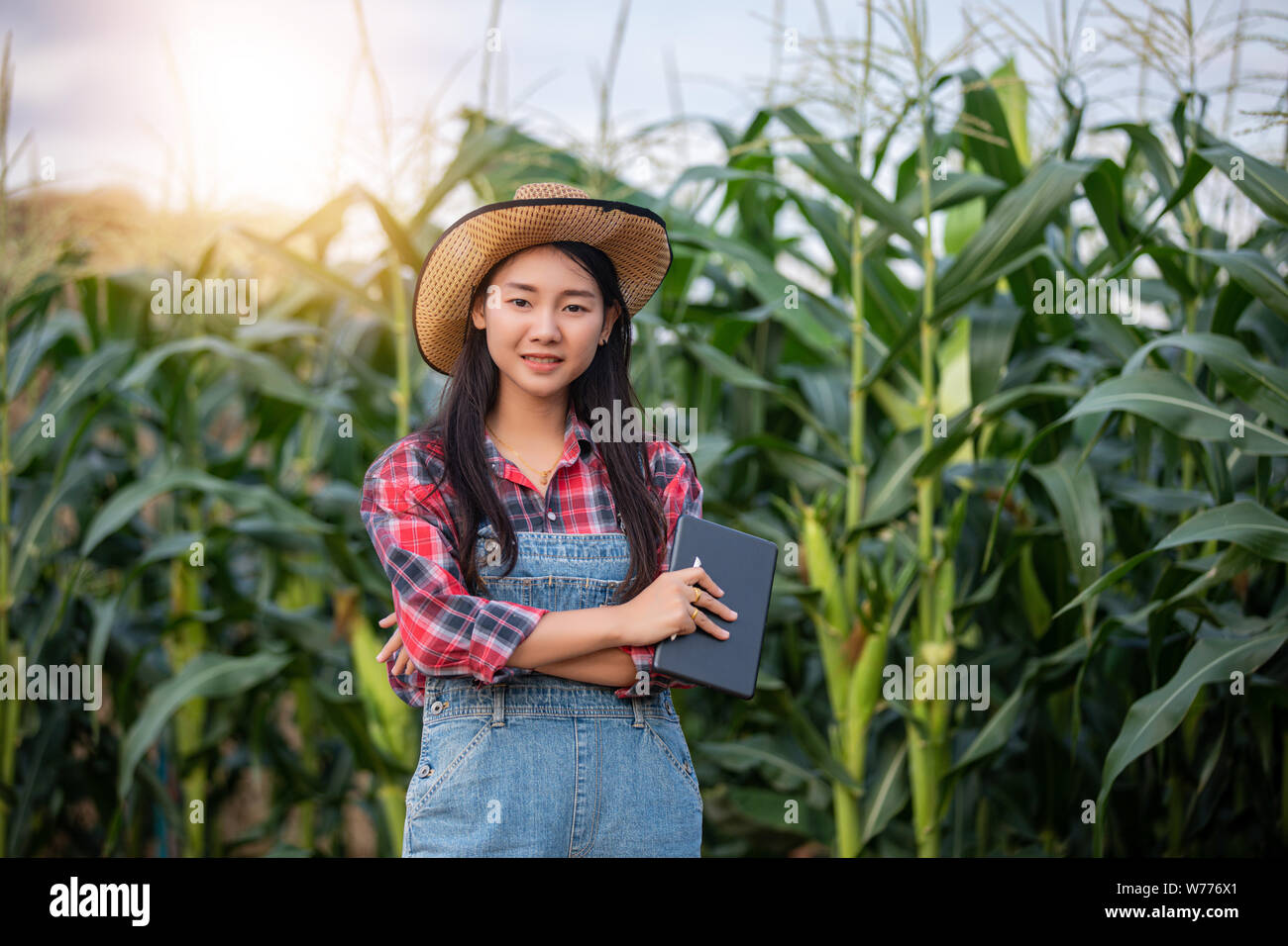 Asias women Agronomist and farmer  Using Technology for inspecting in Agricultural Corn Field Stock Photo