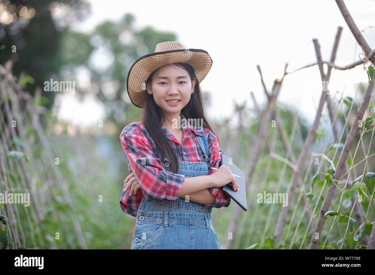 Asias women Agronomist and farmer Using Technology for inspecting in Agricultural and organic vegetable Field Stock Photo