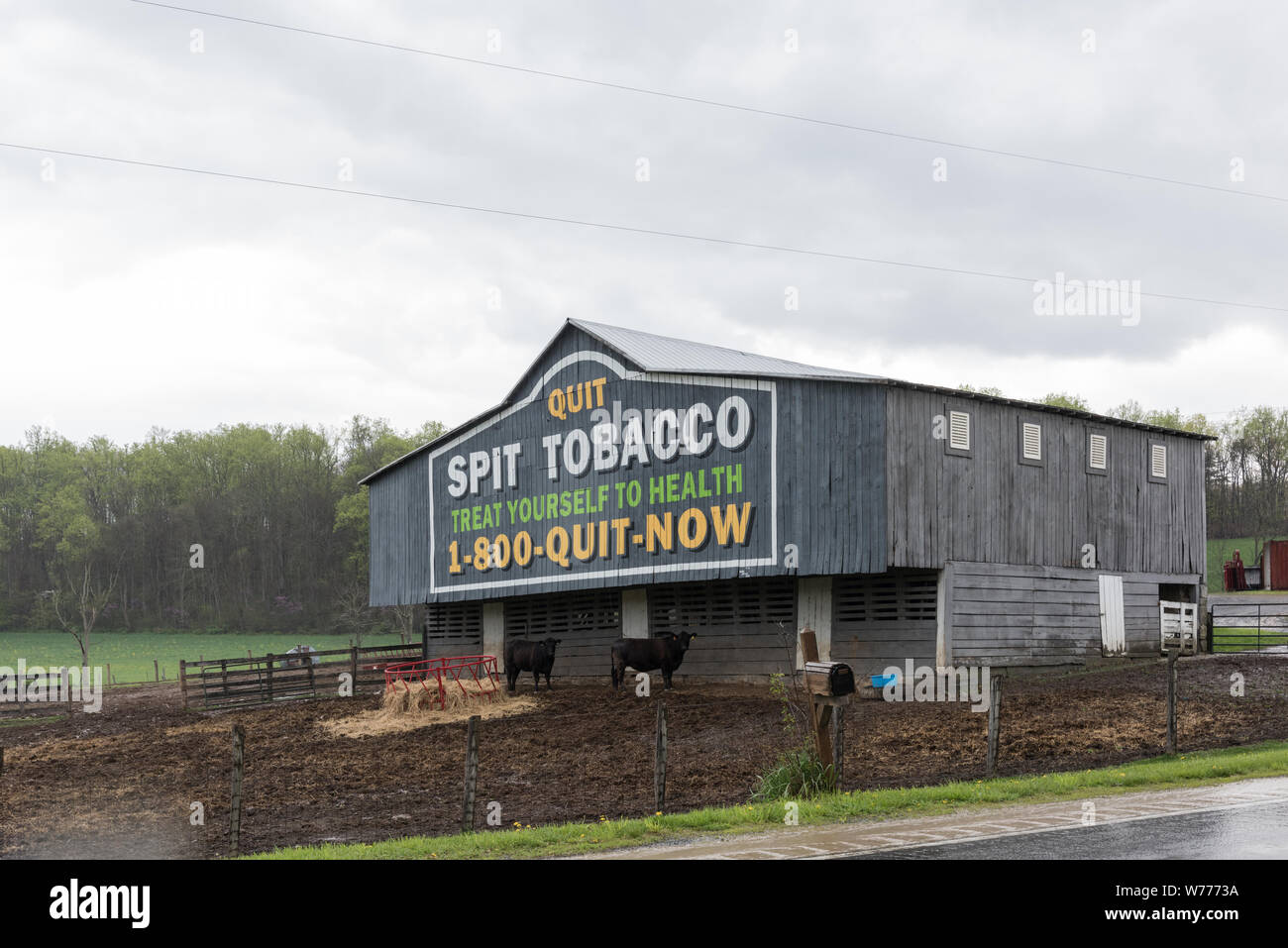 how is pipe tobacco different A Beginner's Guide to Pipe Tobacco: Types, Flavors & How to Start | Pipe  Smoking