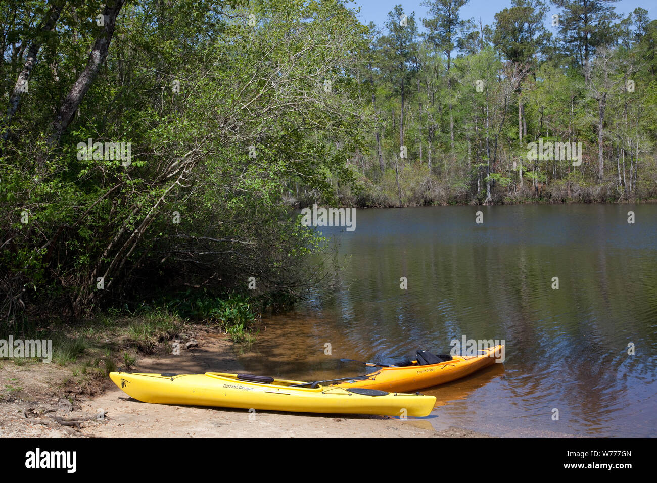 A canoe trip up the Mobile Delta, which consists of approximately 20,323 acres of water just north of Mobile Bay, Alabama Physical description: 1 photograph : digital, TIFF file, color.  Notes: The Mobile Delta is 30 miles long and 12 miles wide, formed by the confluence of the Alabama and Tombigbee Rivers. It covers more than 200,000 acres of swamps, river bottom lands and marshes. Congress named the Mobile Delta a National Natural Landmark in 1974.; Title, date, subject note, and keywords provided by the photographer.; Gift; George F. Landegger; 2010; (DLC/PP-2010:090).; Stock Photo