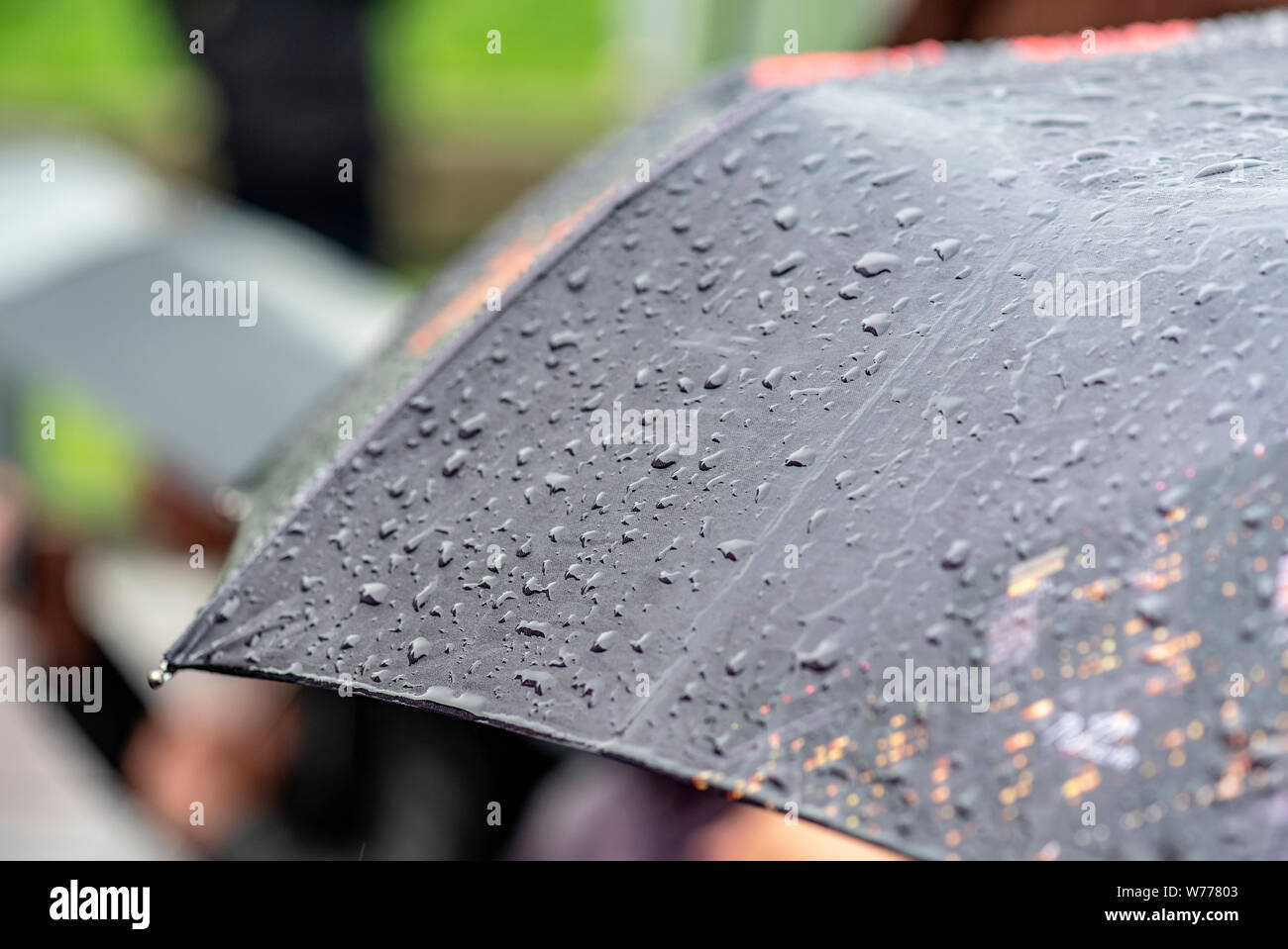 Woman umbrella rain storm hires stock photography and images Alamy