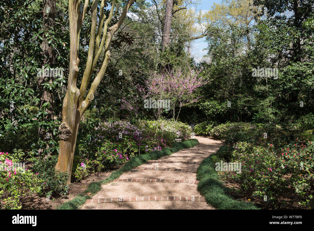 A Pleasant Path At The Bayou Bend Collection And Gardens In The River Oaks Neighborhood Of Houston Texas Physical Description 1 Photograph Digital Tiff File Color Notes Over 50 Years Philanthropist