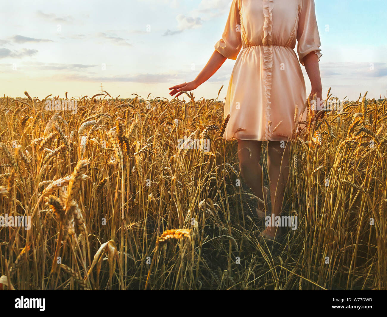 Woman's hand touching wheat ears An unrecognizable girl in a romantic beige dress is standing among the golden wheat field at sunset Stock Photo