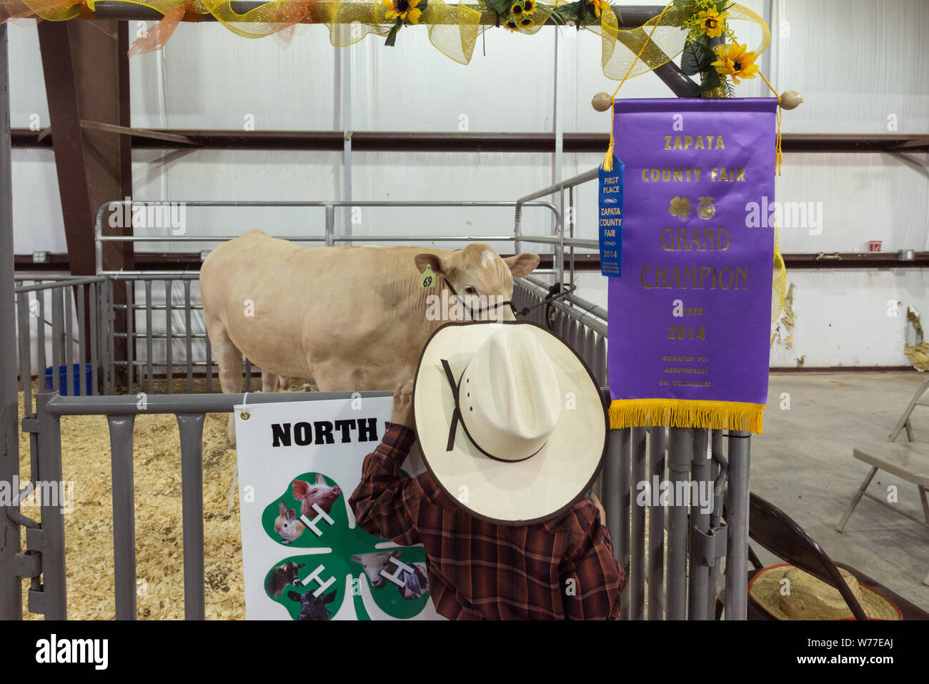 A visitor checks out the grand champion steer at the Zapata County Fair