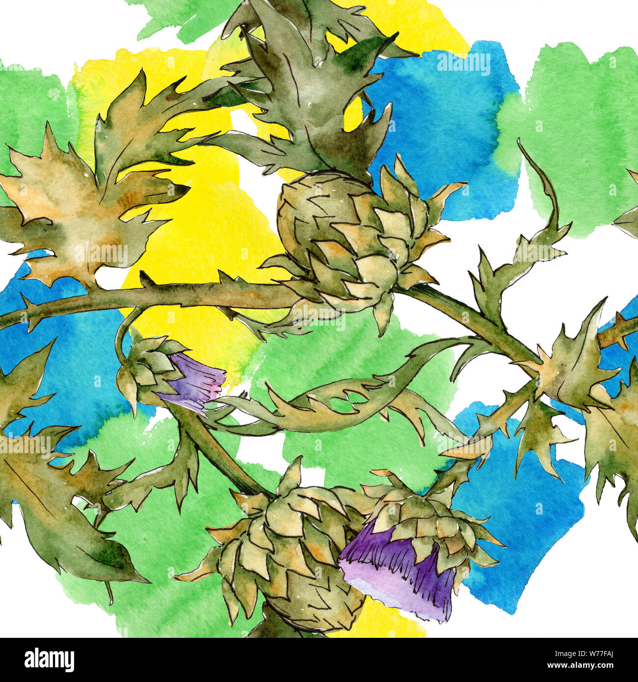 Thistle botanical illustration hi-res stock photography and images - Alamy