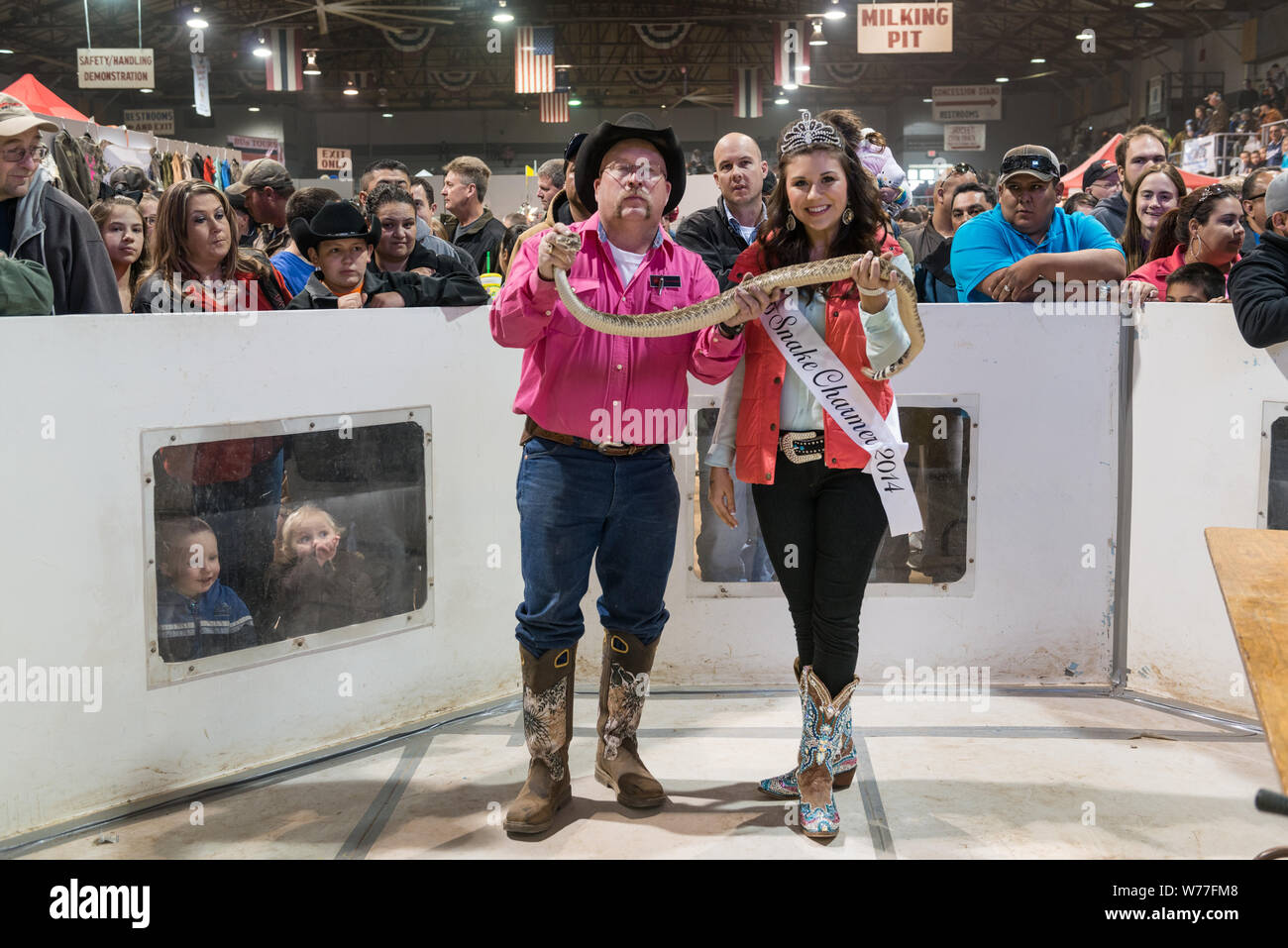 Miss Snake Charmer, Hannah Smith, a cowboy snake-handler Terry Hollywood Armstrong, hoist a hefty specimen at the World's Largest Rattlesnake Roundup in Sweetwater, Texas Physical description: 1 photograph : digital, tiff file, color.  Notes: Since 1958, the event, sponsored and run by the Sweetwater Jaycees, has been held annually in March at the Nolan County Coliseum. The Round-Up was started as a way to control the population of snakes in their brushy area of Texas. According to the Jaycees, the large population of rattlesnakes was harming local farmers and ranchers who were losing their li Stock Photo