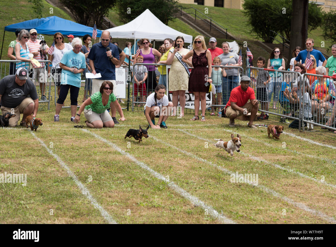 They're off at the annual Weiner Dog Races, part of the West Side Main Street Program and FestivAll Charleston on the grounds of a middle school in Charleston, West Virginia Physical description: 1 photograph : digital, tiff file, color.  Notes: Purchase; Carol M. Highsmith Photography, Inc.; 2015; (DLC/PP-2015:055).; Stock Photo