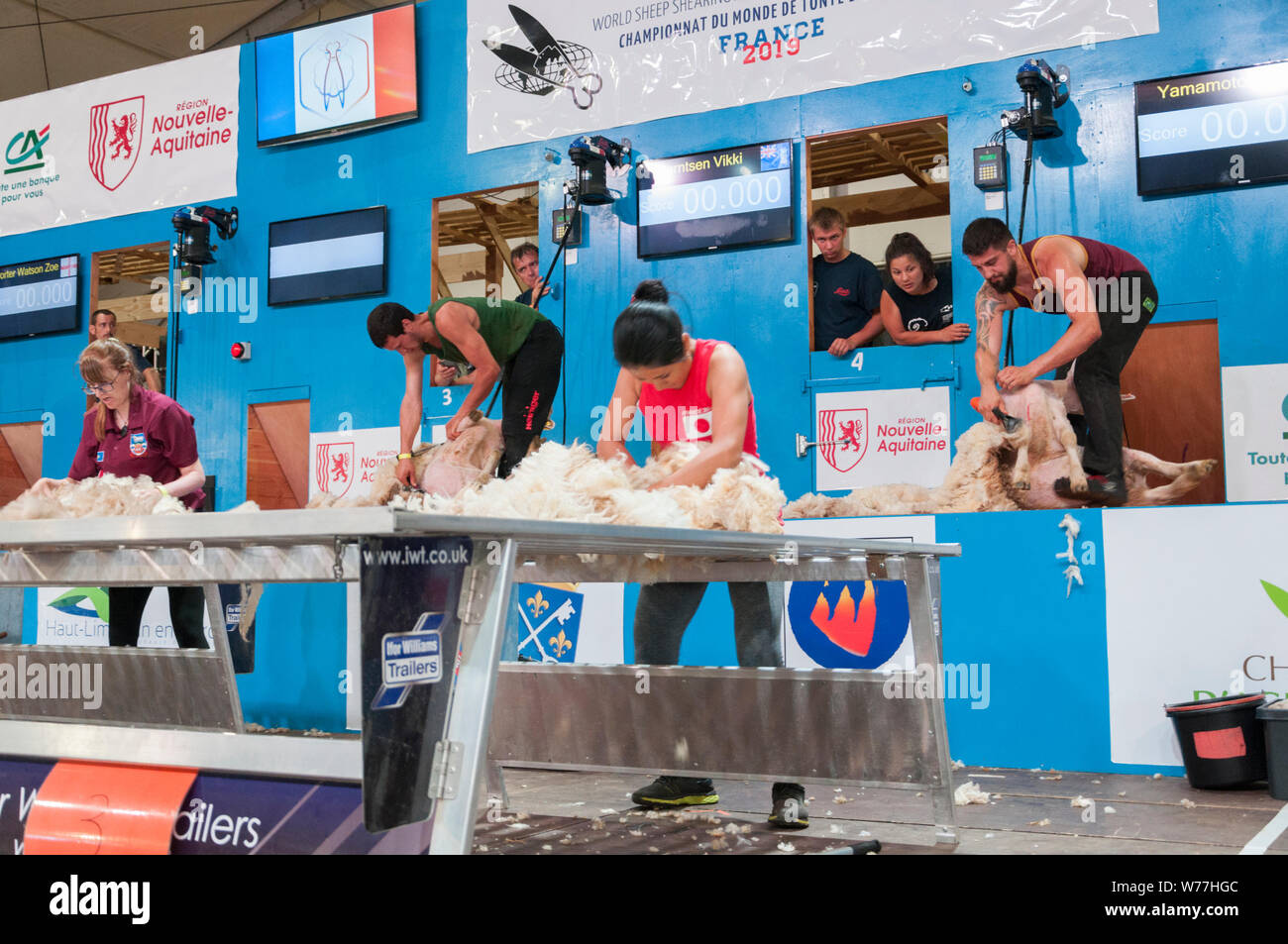 World Sheep Shearing Championships France 2019 Wool Handlers Stock