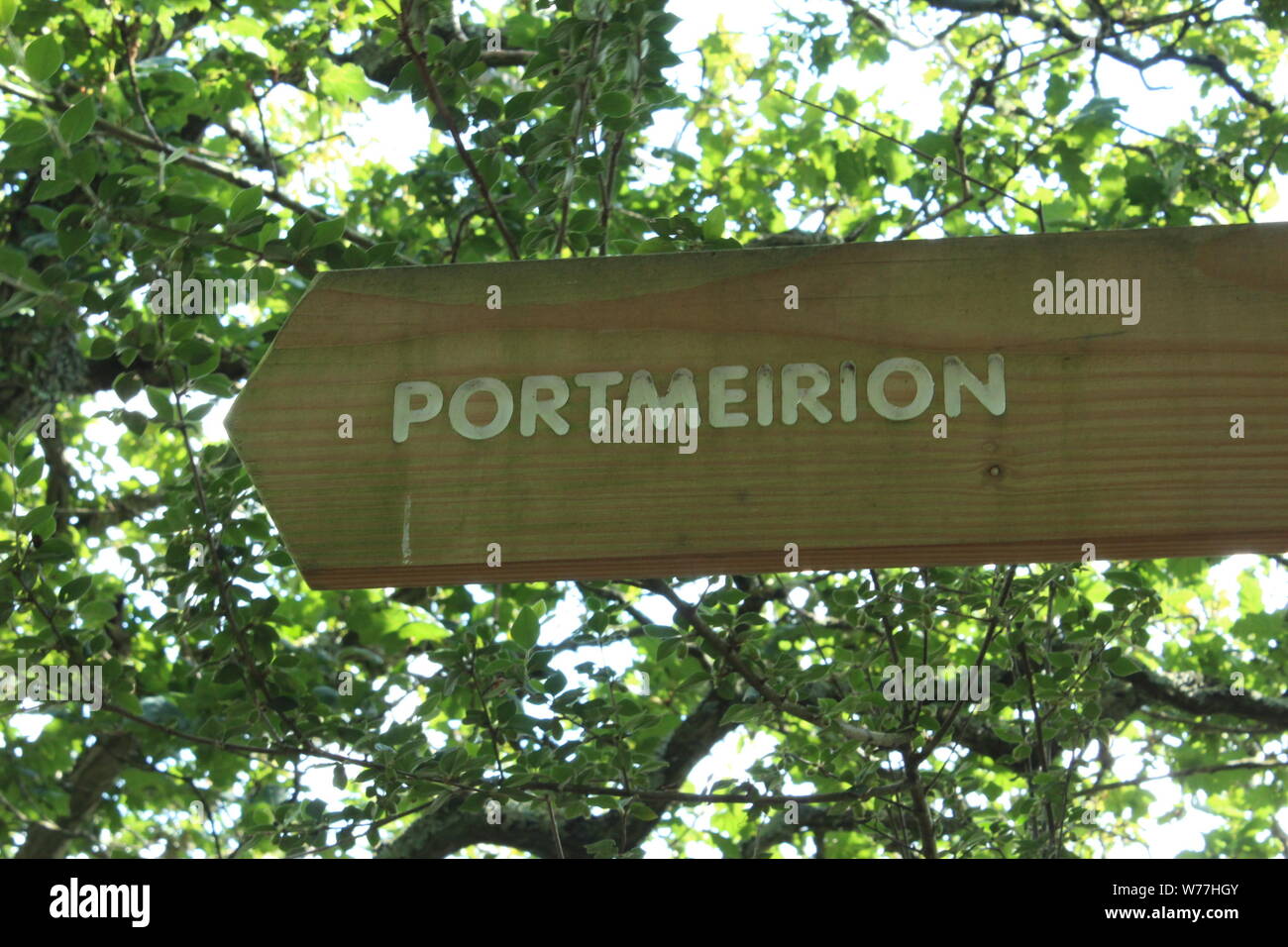 Close up of a small, wooden 'Portmeirion' direction sign in front of some branches on a sunny day in Portmeirion Stock Photo