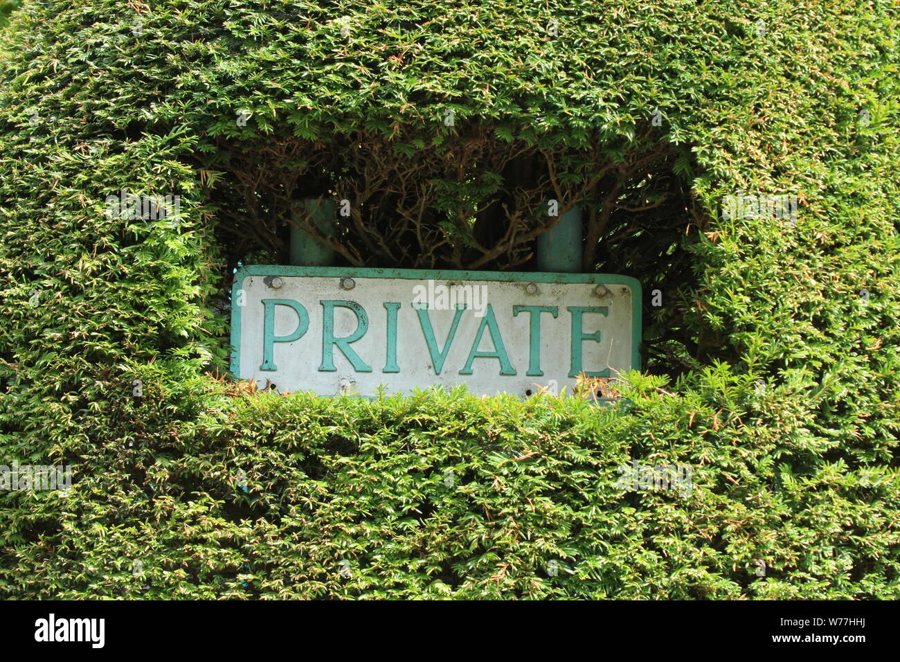Close up of blue 'PRIVATE' sign in side a bright green, trimmed bush on a sunny day in Portmeirion Stock Photo
