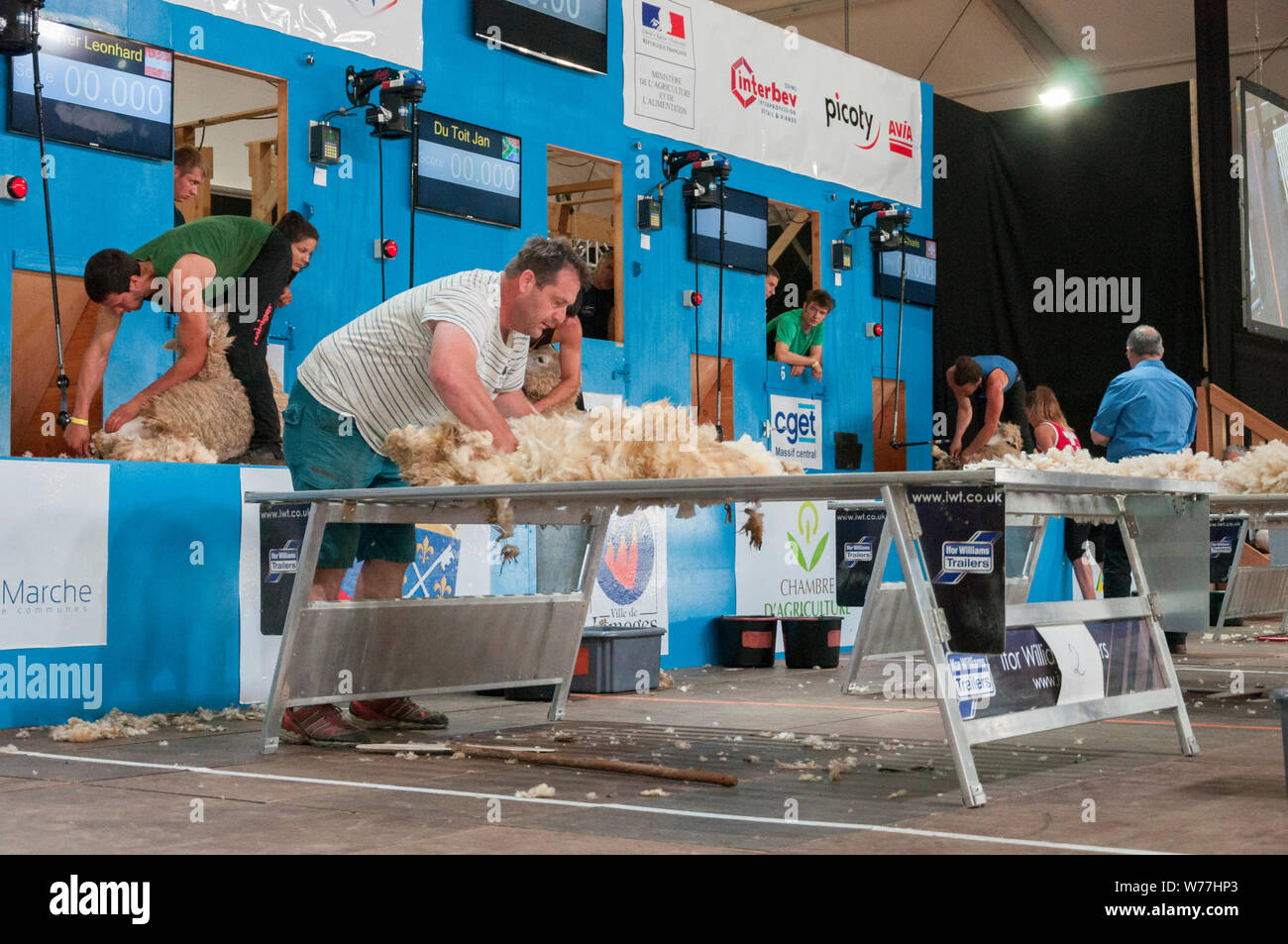World Sheep Shearing Championships France 2019 Wool Handlers Stock