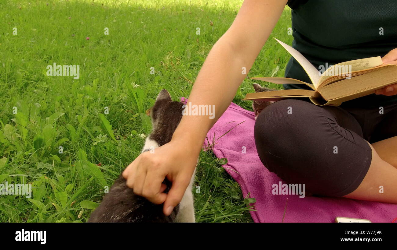 blonde girl reads a book with a kitten on a green grass Stock Photo