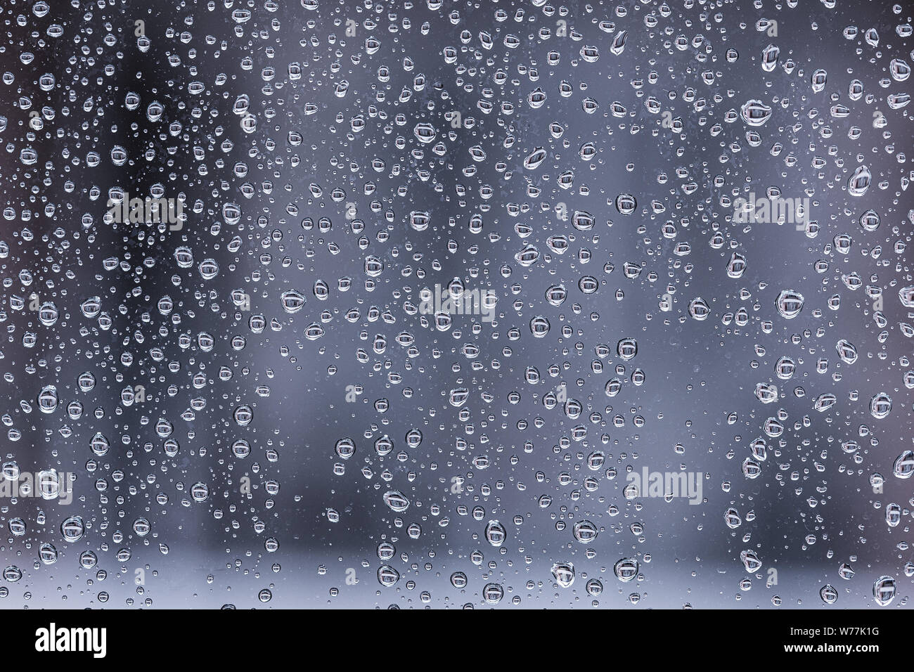 Water drops on a grey glass textured Stock Photo
