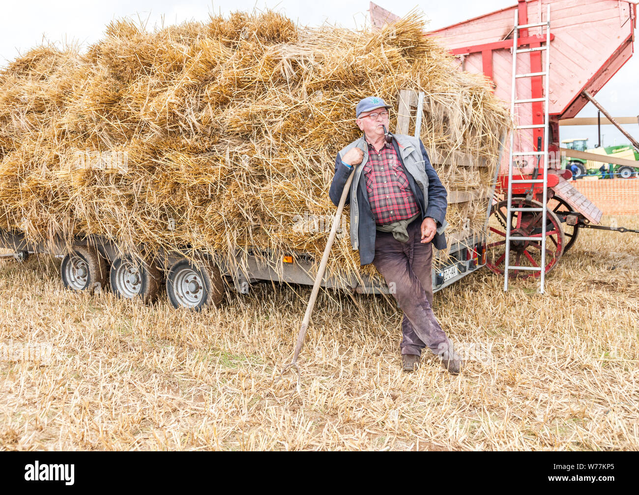 Sandycove Ballinspittle, Cork, Ireland. 05th August, 2019. Jim Footman, Ballinadee taking it easy at the De Courcey Harvest Day  that was held over the August Bank Holiday weekend at Sandycove, Ballinspittle, Co. Cork, Ireland. - Credit;  David Creedon / Alamy Live News Stock Photo