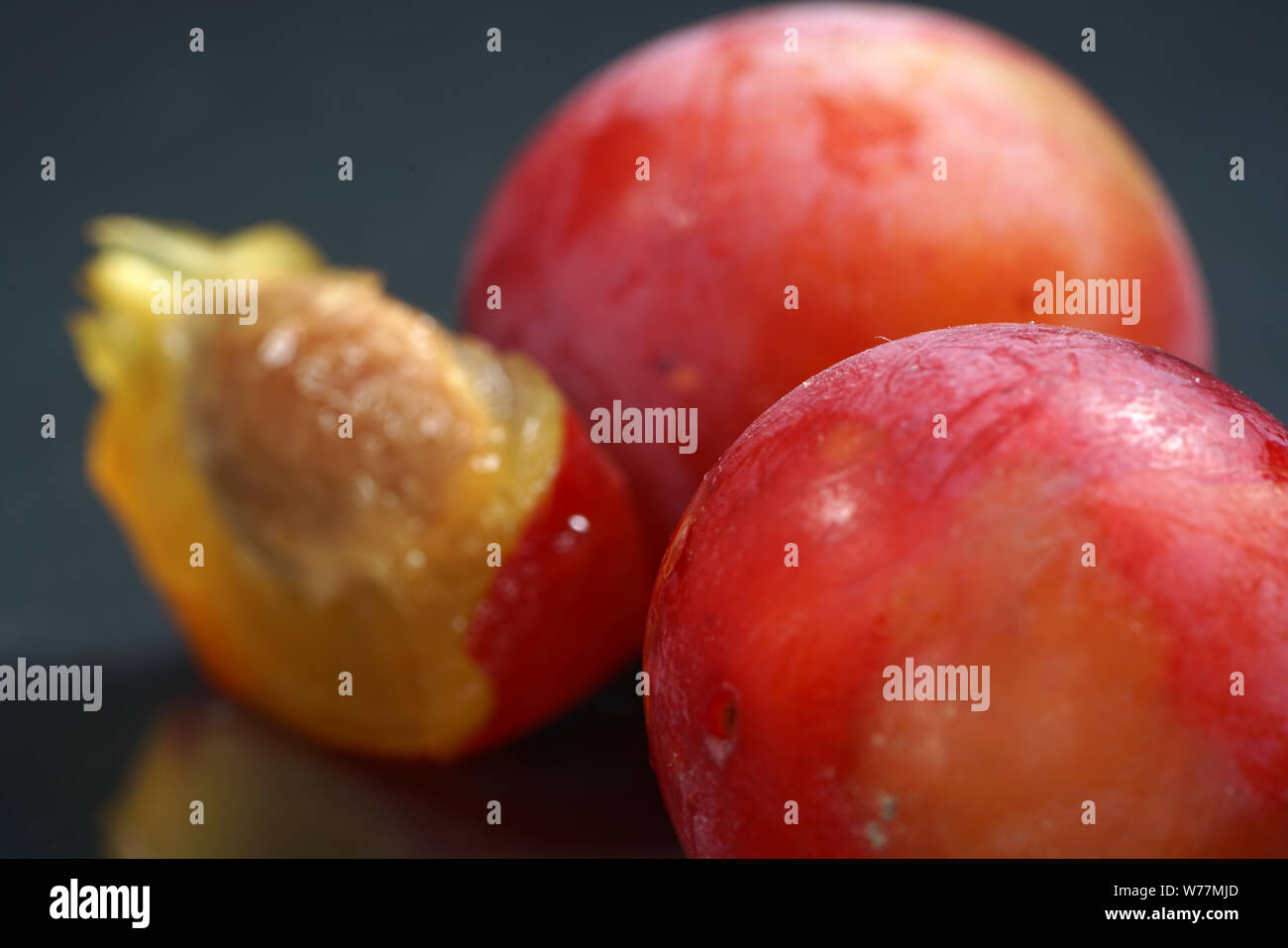 Mirabelle plums from the local garden in Germany are very sweet Stock