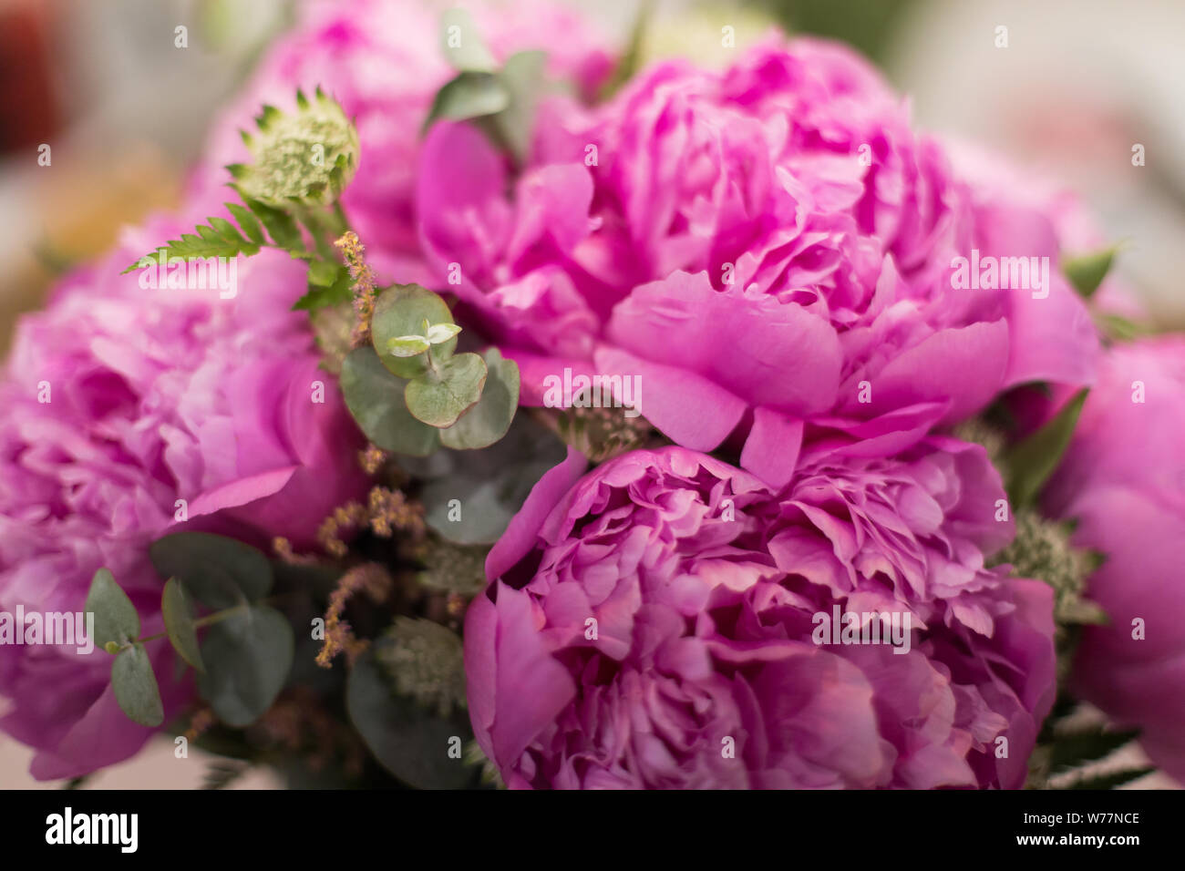 Pink peony flower bouquet Stock Photo