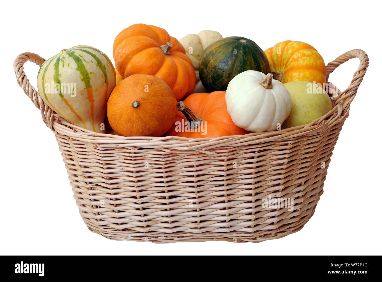 mini pumpkins and gourd in bucket isolated on white background Stock