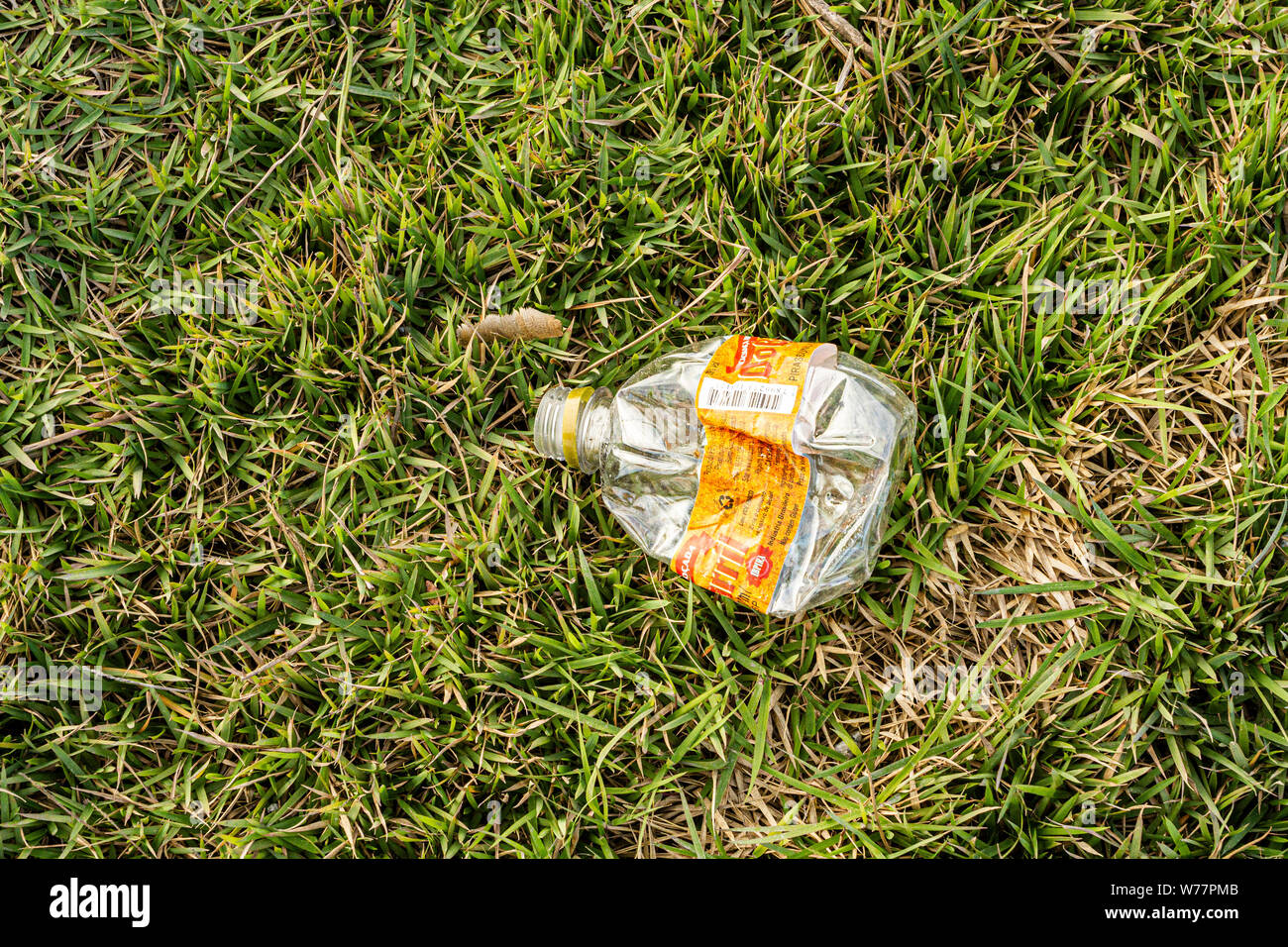 Plastic litter on the grass. Florianopolis, Santa Catarina, Brazil