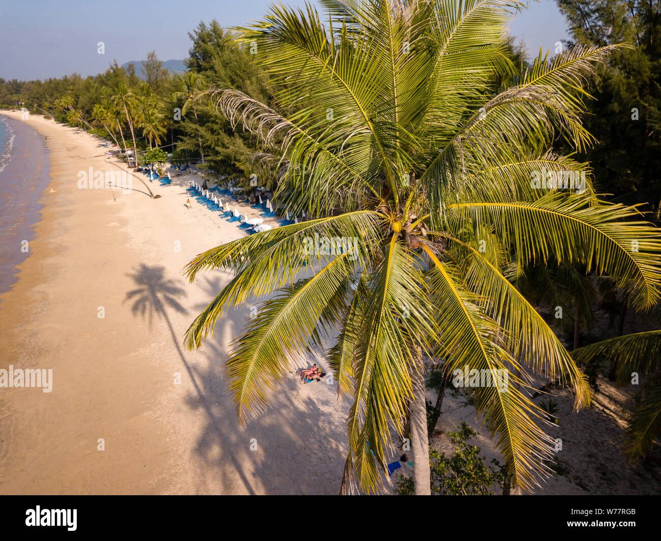 Aerial drone view of a long shadow of a palm tree cast onto a beautiful, empty tropical beach Stock Photo