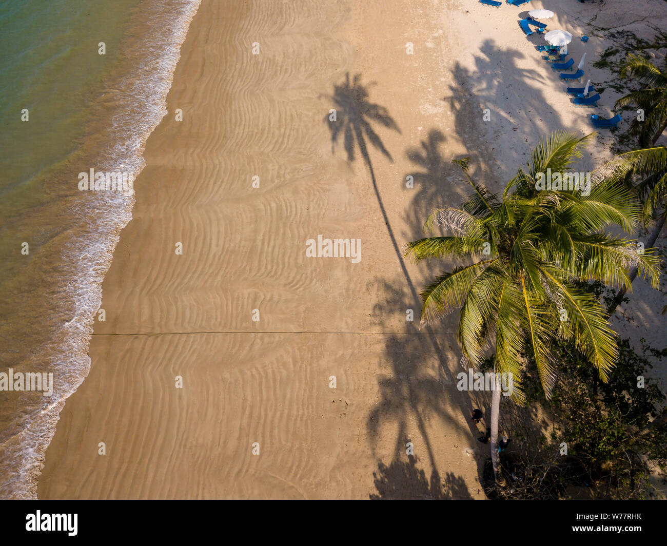 Aerial drone view of a long shadow of a palm tree cast onto a beautiful, empty tropical beach Stock Photo