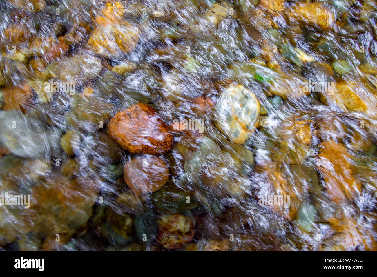 CA03435-00...CALIFORNIA - Abstract image of creek in Fern Canyon, Prairie Creek Redwoods State Park. Stock Photo