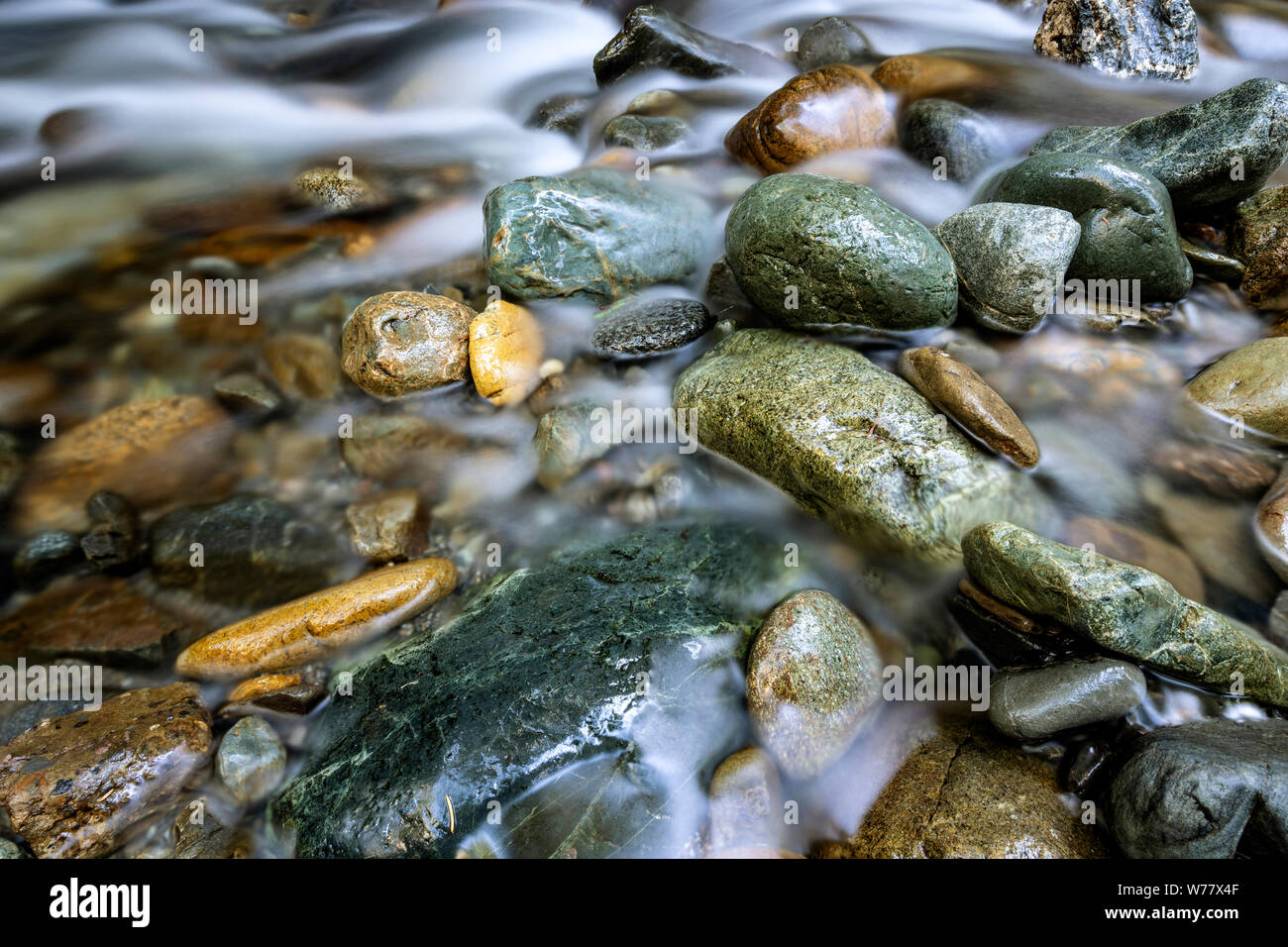 CA03449-00...CALIFORNIA - Small creek along the Hiouchi Trail in Jediah Smith Redwoods State Park. Stock Photo