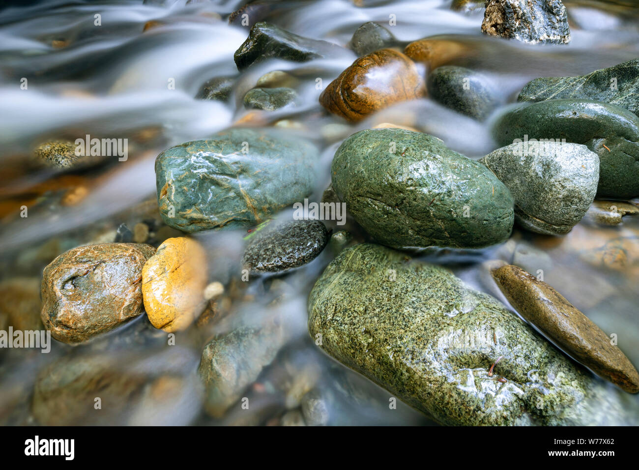 CA03450-00...CALIFORNIA - Small creek along the River Trail in Jediah Smith Redwoods State Park. Stock Photo