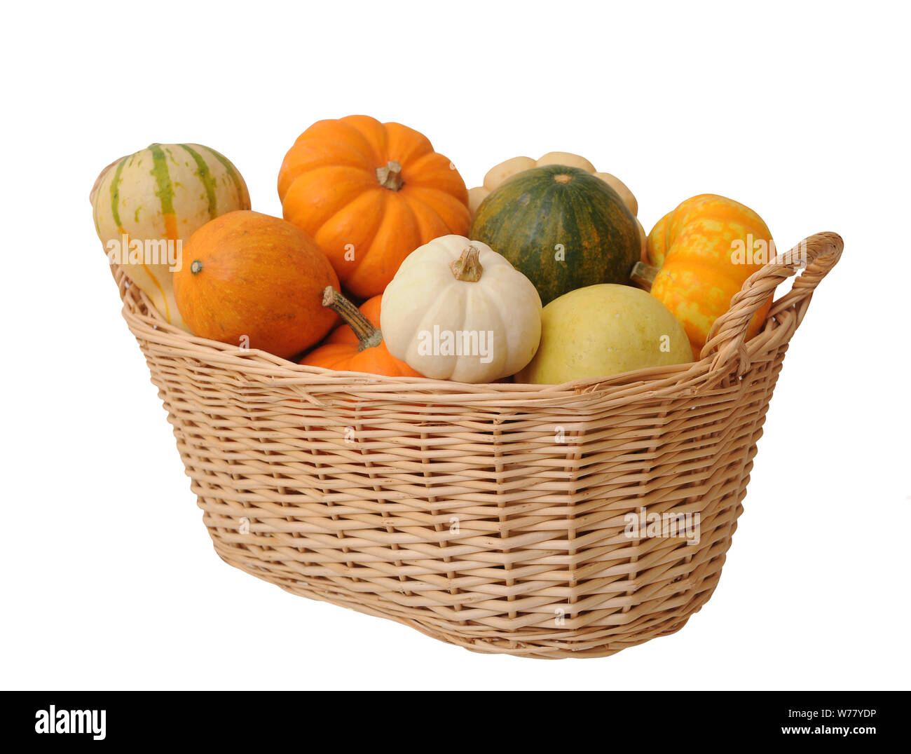 mini pumpkins and gourd in bucket isolated on white background Stock