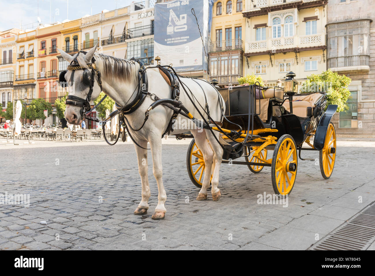 A tourist horse and carriage in the street in Seville Spain, ready to