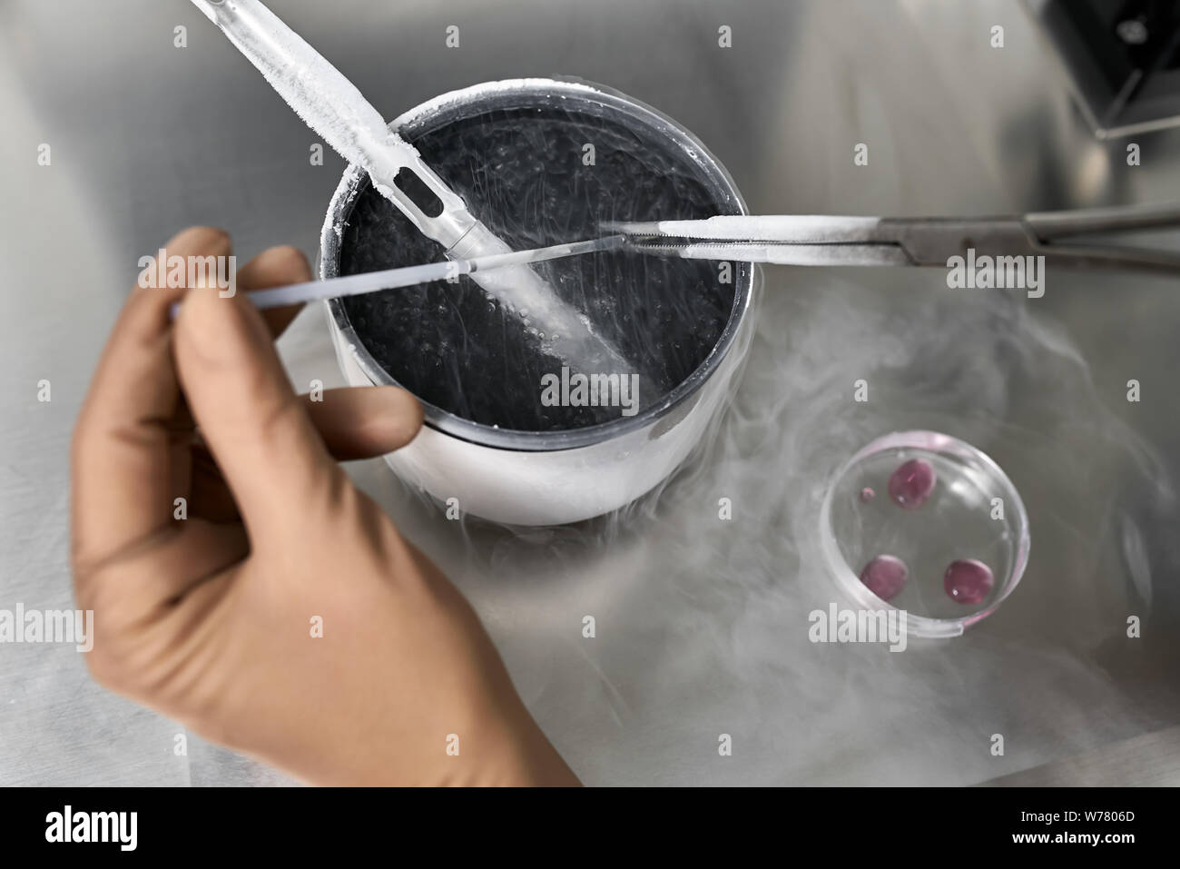 Expert in brown latex gloves takes material from the cryogenic storage during the in vitro fertilization process in the IVF lab. Closeup. Horizontal. Stock Photo