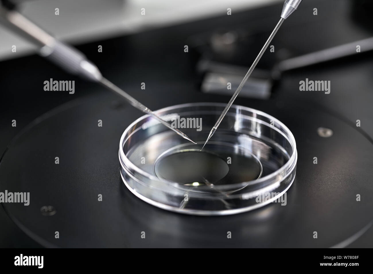Clear IVF dish and micromanipulators over it in the laboratory of the in vitro fertilization. Closeup photo with selective focus. Horizontal. Stock Photo