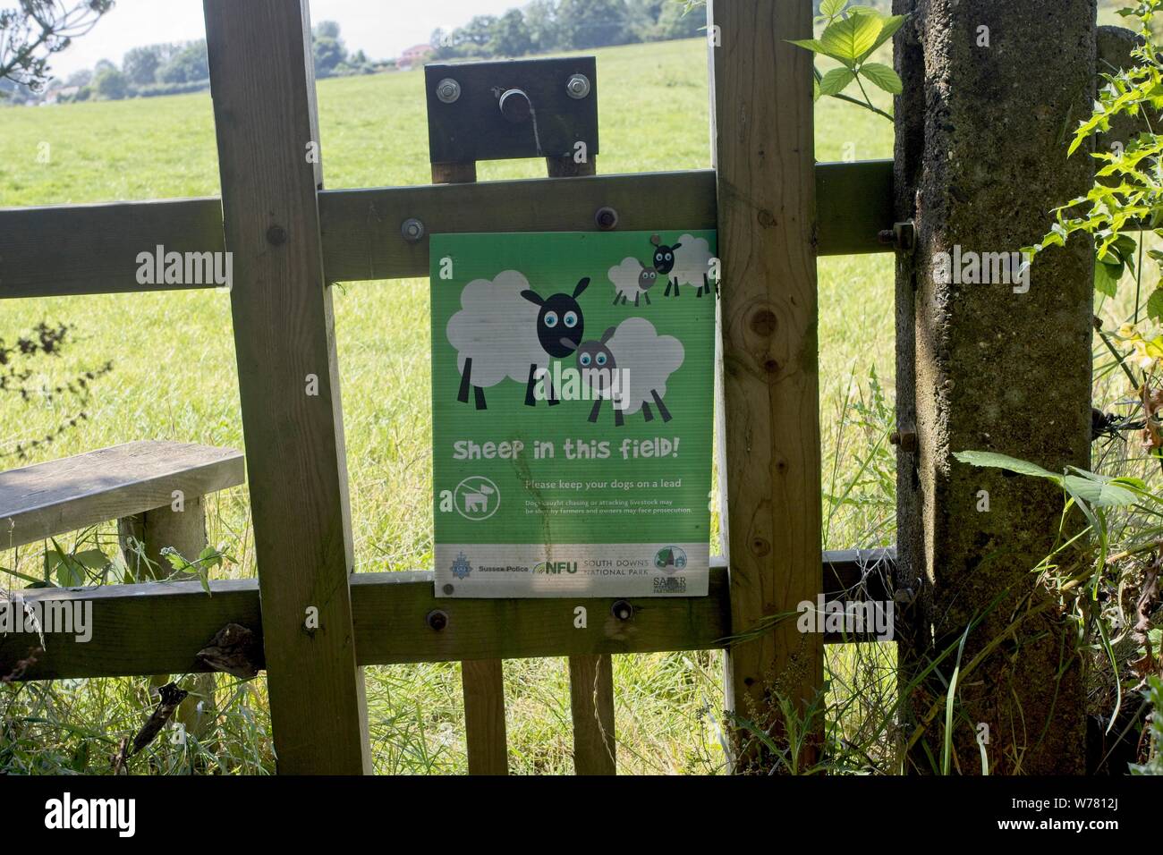 Can You Shoot A Dog Attacking Livestock