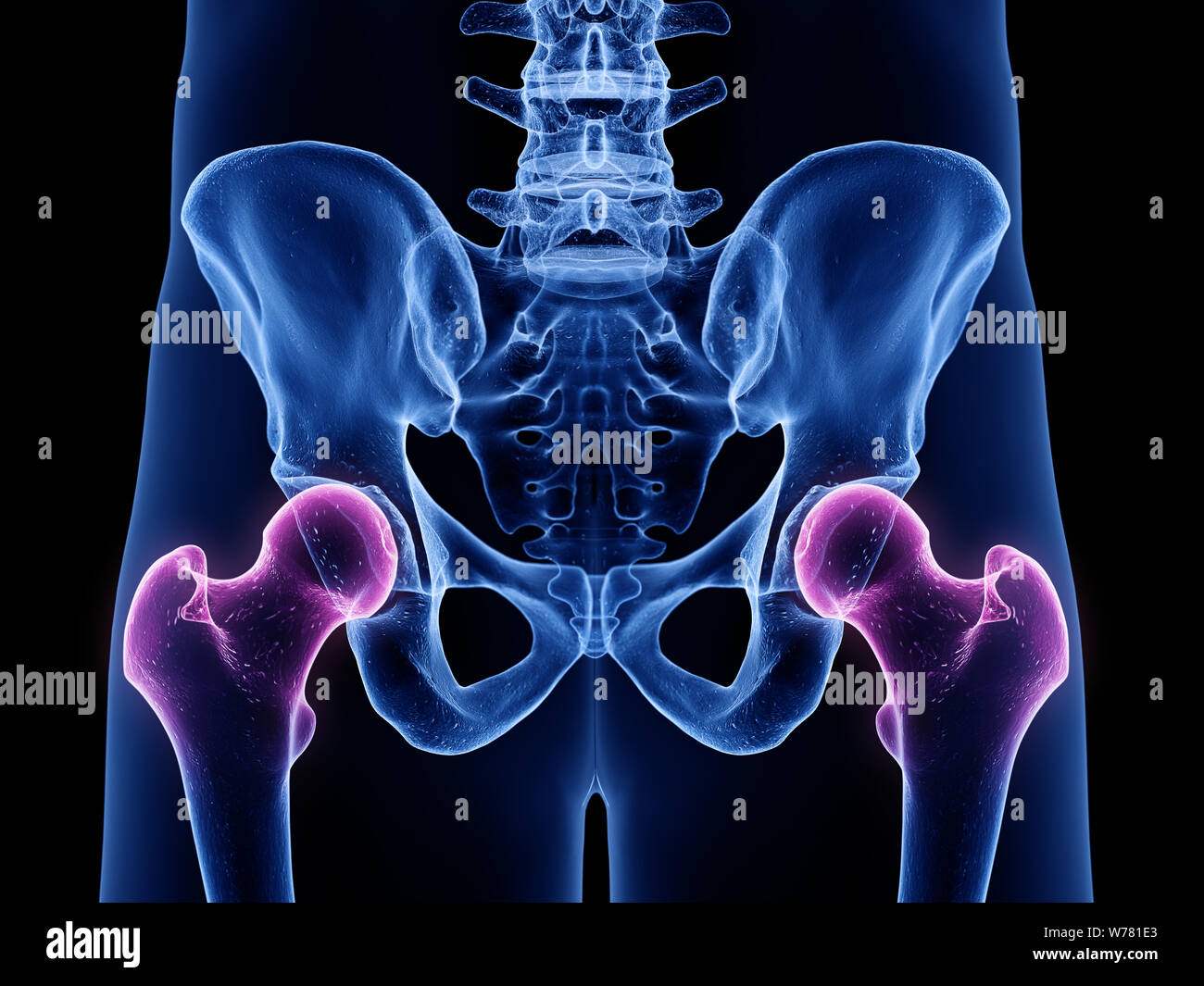 3d rendered medically accurate illustration of the hip joints Stock Photo