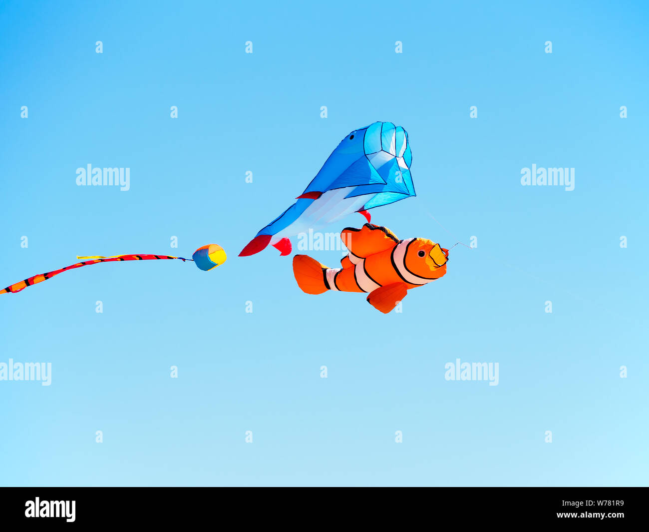 Multicolored fish kites flying above a Port Aransas, Texas USA beach