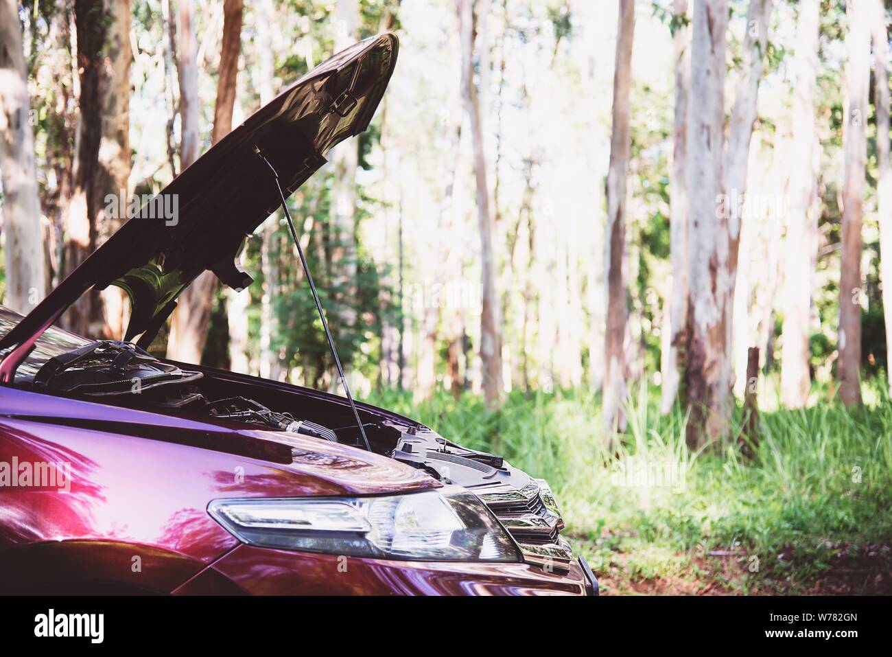 Engine problem car wait for repair man in nature local area road - car imergency engine problem concept Stock Photo