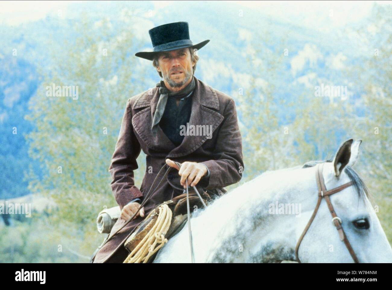 stetson pale rider hat