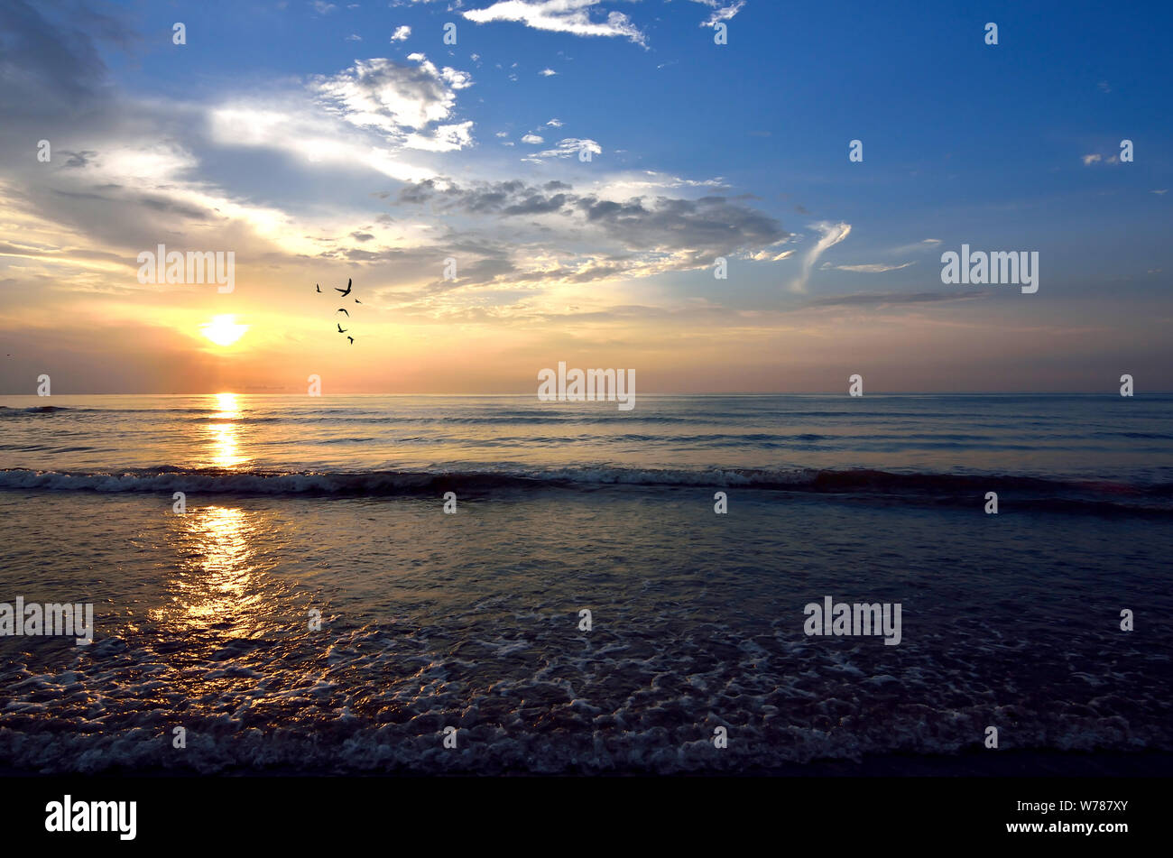 Golden sun rising up in hi-res stock photography and images - Alamy