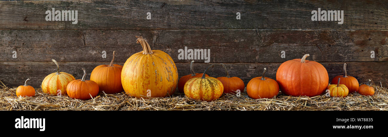 Various pumpkins on stack of hay or straw Stock Photo
